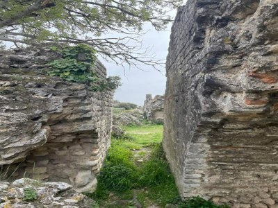 Holiday park Wohnung in Le Paradou mit Pool & Sauna - Environment photo 30