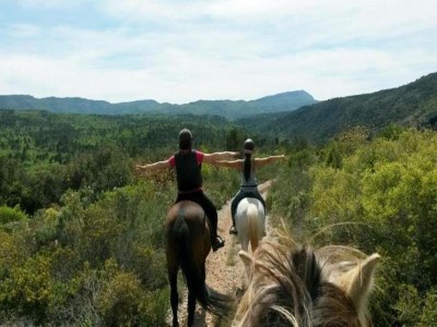 Holiday park Wohnung in Le Paradou mit Pool & Sauna - Environment photo 33