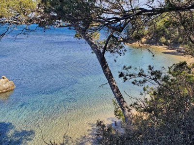 Holiday park Wohnung in Cavalaire nahe Sandstrand - Environment photo 14