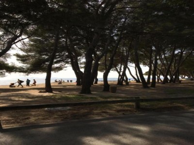 Holiday park Wohnung in Cavalaire nahe Sandstrand - Environment photo 30