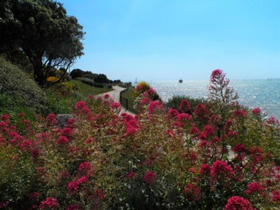 Holiday park Apartment in La Rochelle near the Beach - Environment photo 25