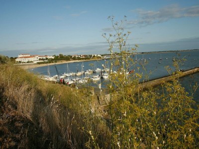 Holiday park Wohnung in Frankreich mit Meerblick - Environment photo 10