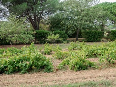 Holiday park Wohnung in Grimaud mit Pools - Environment photo 16