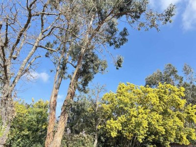 Holiday park Wohnung in Grimaud mit Pools - Environment photo 23