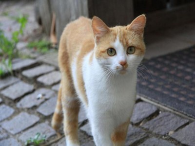 Holiday park Wohnung in Grimaud mit Pools - Outdoor photo 35