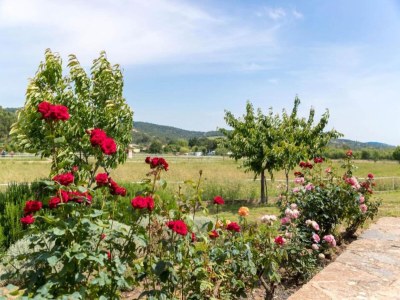 Holiday park Apartment in France with Pool & Quiet Setting - Environment photo 16