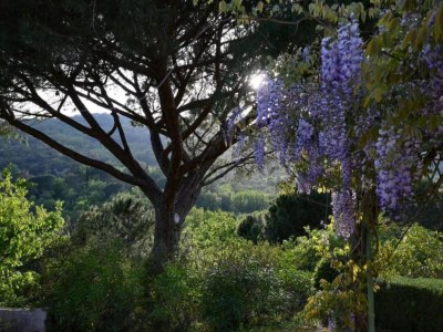 Holiday park Apartment in France with Pool & Quiet Setting - Environment photo 21