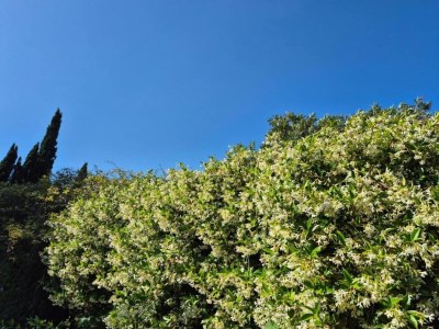 Holiday park Apartment in France with Pool & Quiet Setting - Environment photo 32