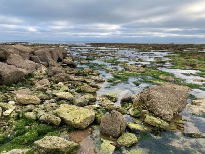Holiday park Terraced Houses in France with Garden - Environment photo 22