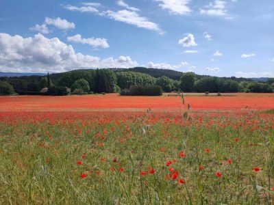 Holiday park Maisonette in Gordes near Vaucluse Hills - Environment photo 26