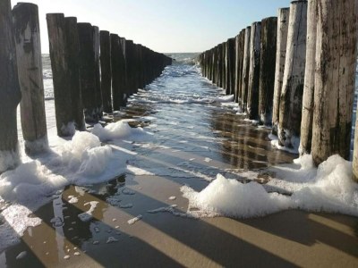 Holiday park Wohnung auf Île de Ré mit Terrasse/Garten - Environment photo 27