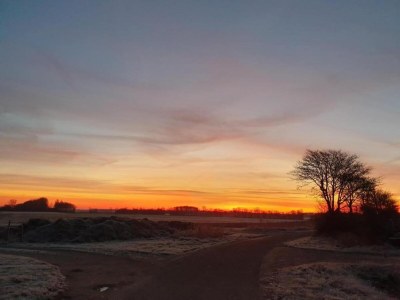 Holiday park Wohnung auf Île de Ré mit Terrasse/Garten - Environment photo 31