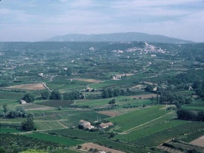 Holiday park Apartment in Bonnieux near Lavender Fields - Environment photo 24