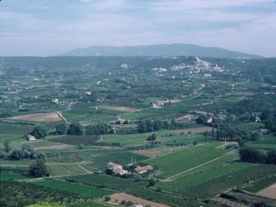 Holiday park Wohnung in Bonnieux bei Lavendelfeldern - Environment photo 27