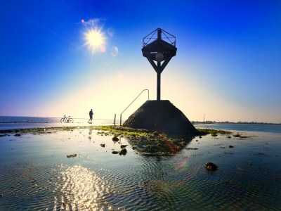 Holiday park Tranquil Noirmoutier Escape - Environment photo 18