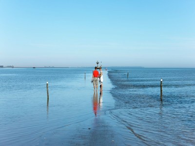 Holiday park Tranquil Noirmoutier Escape - Environment photo 19