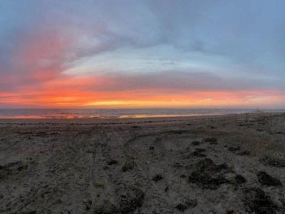 Holiday park Tranquil Noirmoutier Escape - Environment photo 24