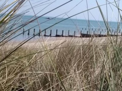 Holiday park Tranquil Noirmoutier Escape - Environment photo 25