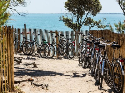 Holiday park Tranquil Noirmoutier Escape - Environment photo 27