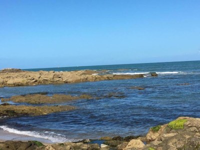 Holiday park Tranquil Noirmoutier Escape - Environment photo 33