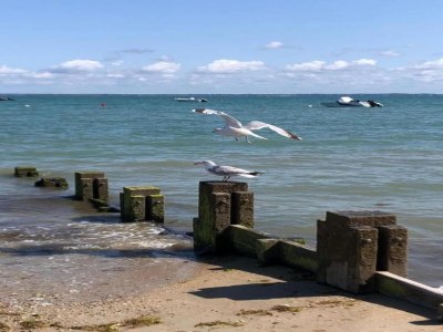 Holiday park Tranquil Noirmoutier Escape - Environment photo 34