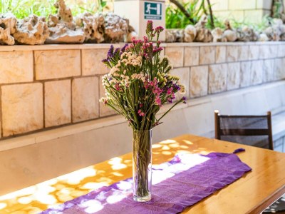 Apartment Apartments Nikolina (LU) - One-Bedroom Apartment with terrace - Outdoor photo 15