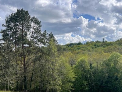 Holiday park Holiday Home in Sarlat near Grottes de Lascaux - Environment photo 27