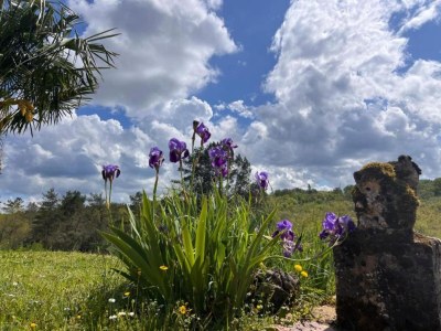 Holiday park Holiday Home in Sarlat near Grottes de Lascaux - Environment photo 28