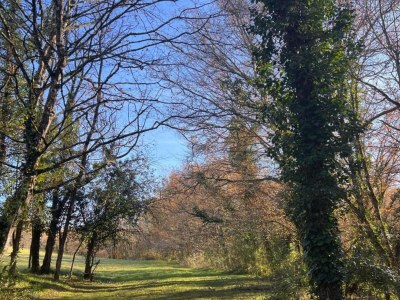 Holiday park Ferienhaus in Sarlat nahe Castelnaud - Environment photo 21