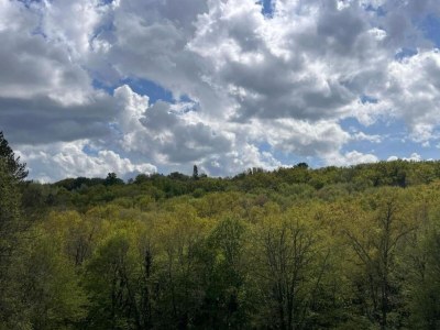 Holiday park Ferienhaus in Sarlat nahe Castelnaud - Environment photo 22