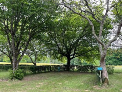 Holiday park Ferienhaus in Sarlat nahe Castelnaud - Environment photo 24