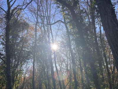 Holiday park Ferienhaus in Sarlat nahe Castelnaud - Environment photo 26