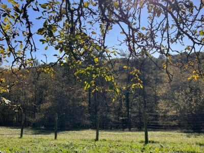 Holiday park Ferienhaus in Sarlat nahe Castelnaud - Environment photo 30