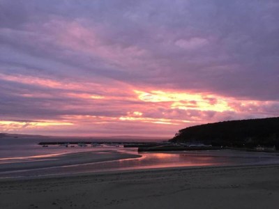 Holiday park Brittany Beach Escape | Garden - Environment photo 25