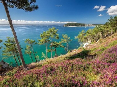 Holiday park Brittany Beach Escape | Garden - Environment photo 30