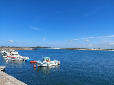 Holiday house Ferienhaus in Bretagne mit Meerblick - Environment photo 22