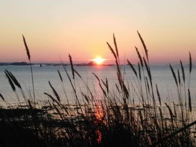 Holiday park Wohnung in Plougasnou mit Meerblick - Environment photo 25