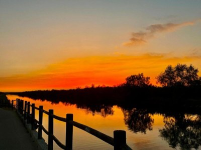 Holiday park Schöne Wohnung in der Nähe von Aigues-Mortes - Environment photo 26