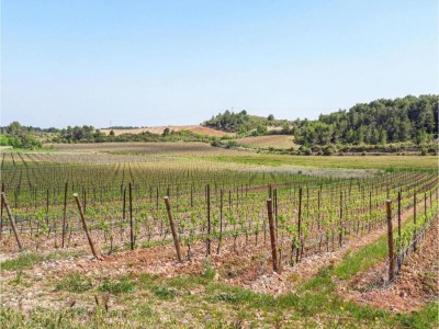 Holiday park Peaceful Stay Among Pines - Environment photo 14