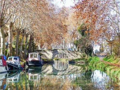 Holiday park Apartment in Saint-Loup amid Pine Trees - Environment photo 32