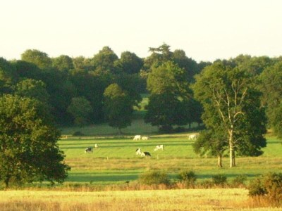 Holiday park Holiday Home in Bretagne by Emerald Coast - Environment photo 26