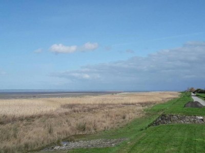 Holiday park Holiday Home in Bretagne by Emerald Coast - Environment photo 29