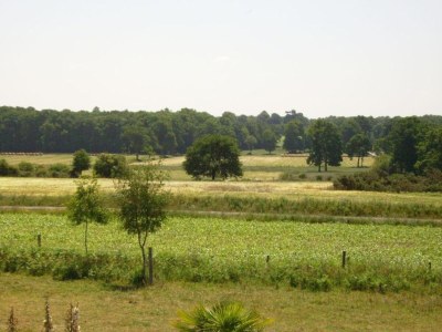 Holiday park Holiday Home in Bretagne by Emerald Coast - Environment photo 32