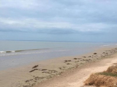 Holiday park Brittany Retreat w/ Pool - Environment photo 46