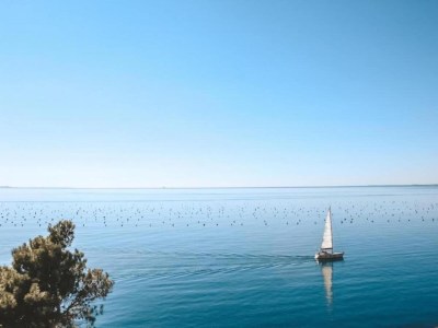 Holiday park Rückzugsschritte von den Skiliften - Environment photo 20