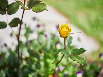 Holiday park Rückzugsschritte von den Skiliften - Environment photo 24