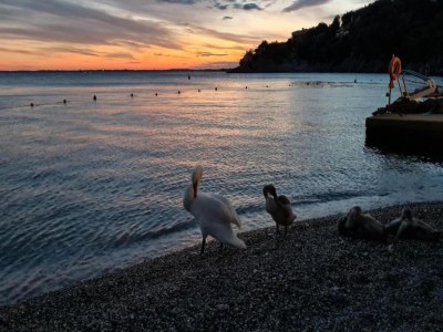 Holiday park Rückzugsschritte von den Skiliften - Environment photo 29