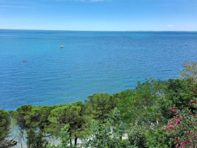 Holiday park Rückzugsschritte von den Skiliften - Environment photo 34