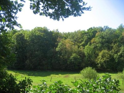 Holiday park Chalet in Auris-en-Oisans mit Balkonblick - Environment photo 15