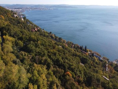 Holiday park Chalet in Auris-en-Oisans mit Balkonblick - Environment photo 27